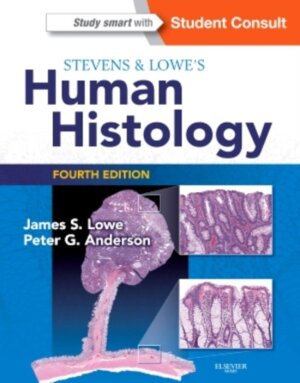 Stevens & Lowe's Human Histology 4th edition